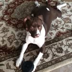 Lori Putnam Cobb - @lori_cobb - Instagram