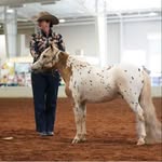 Lorrie Collin Shipman - @lorriecollinshipman - Instagram