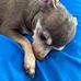 Lori Connor - Facebook