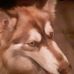 Lorrie Conner - Facebook