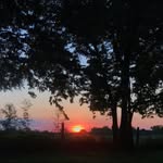 Lori Crowe - @crowebiglor - Instagram