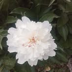 Lori Cunningham - Facebook