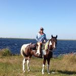 Lori Erickson-Harrison - @dreamshorseservices - Instagram