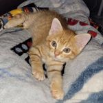Lori L Erickson - @luvsbeinganana22 - Instagram