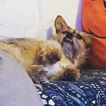 Lori Finney - @5230freckles - Instagram