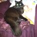 Lorrie Fox - Facebook
