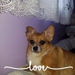 Lorrie Goff Kelly - @lorriekelly1961 - Instagram