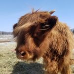 Lorrie Goodroad - @lorriegoodroad - Instagram