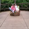lorriegreen577 - @lorriegreen577 - TikTok