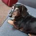 Lorrie Hagan - Facebook