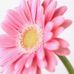 Lorrie Aurience Hale - Facebook