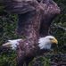 Lorrie Herbert - Facebook