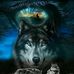 Lori Hoffman - Facebook