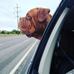 Lori Hurst-Houdyshell - @hursthoudyshell - Instagram