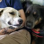 Lorrie Hurst - @lorhurst08 - Instagram