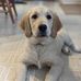 Laura Johnston - Facebook