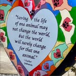 Lorrie Jones - @buddyruby2 - Instagram