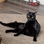Lorrie Lancaster - @yycwordwizard - Instagram
