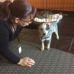 Lori Lopez - @gratitudeliving - Instagram