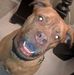 Lorrie Mayfield - Facebook