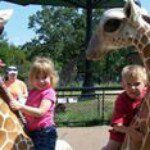 Lori McCann - @mccann.lori - Instagram