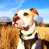 Lori mcclain - @lori.mcclain - TikTok