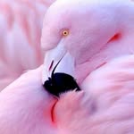 Lori Munson - @lori.munson1 - Instagram