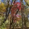 Lorrie Gillingham Murray - @lorrie.gillingham - TikTok