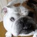 Lorrie Murray - Facebook