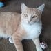 Lorrie Pate - Facebook