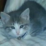 Lori Phillips - @lmprkp - Instagram