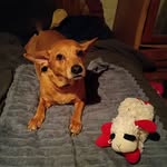 Lori Phillips - @loriphillips324 - Instagram