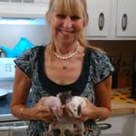 Lorrie Phillips - @rat.lover13 - Instagram