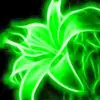 Lorrie Pierce420 - @lorriepierce420 - TikTok