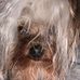 Lorrie Pierce - Facebook