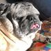 Lorrie Roach Miller - Facebook