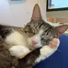 Lori Small - @lori.small - TikTok