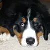 Lori Small - @lori.small3 - TikTok