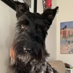 Lori Snow (Tuck) - @cookswithevie - Instagram