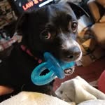 Lorrie Tate Ashcroft - @lorrietateashcroft - Instagram