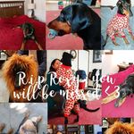 Lorrie Ross Welch - @lorriewelch - Instagram