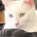 Lorrie Welch - Facebook