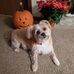 Lorrie Wolfe - Facebook