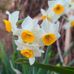 Lorry Brown - Facebook