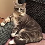 Lorry Brown - @lorry.brown.14 - Instagram