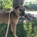 Lottie Abraham - Facebook