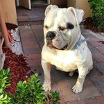 Lottie Carr - @wobayan568 - Instagram