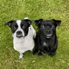 The pekachi twins - @lottie_scarri - TikTok
