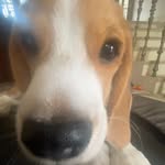 lоттiе - @lottiedicksonn - Instagram
