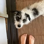 Lottie Lou Hoffman - @lottie_lou_hoffman - Instagram